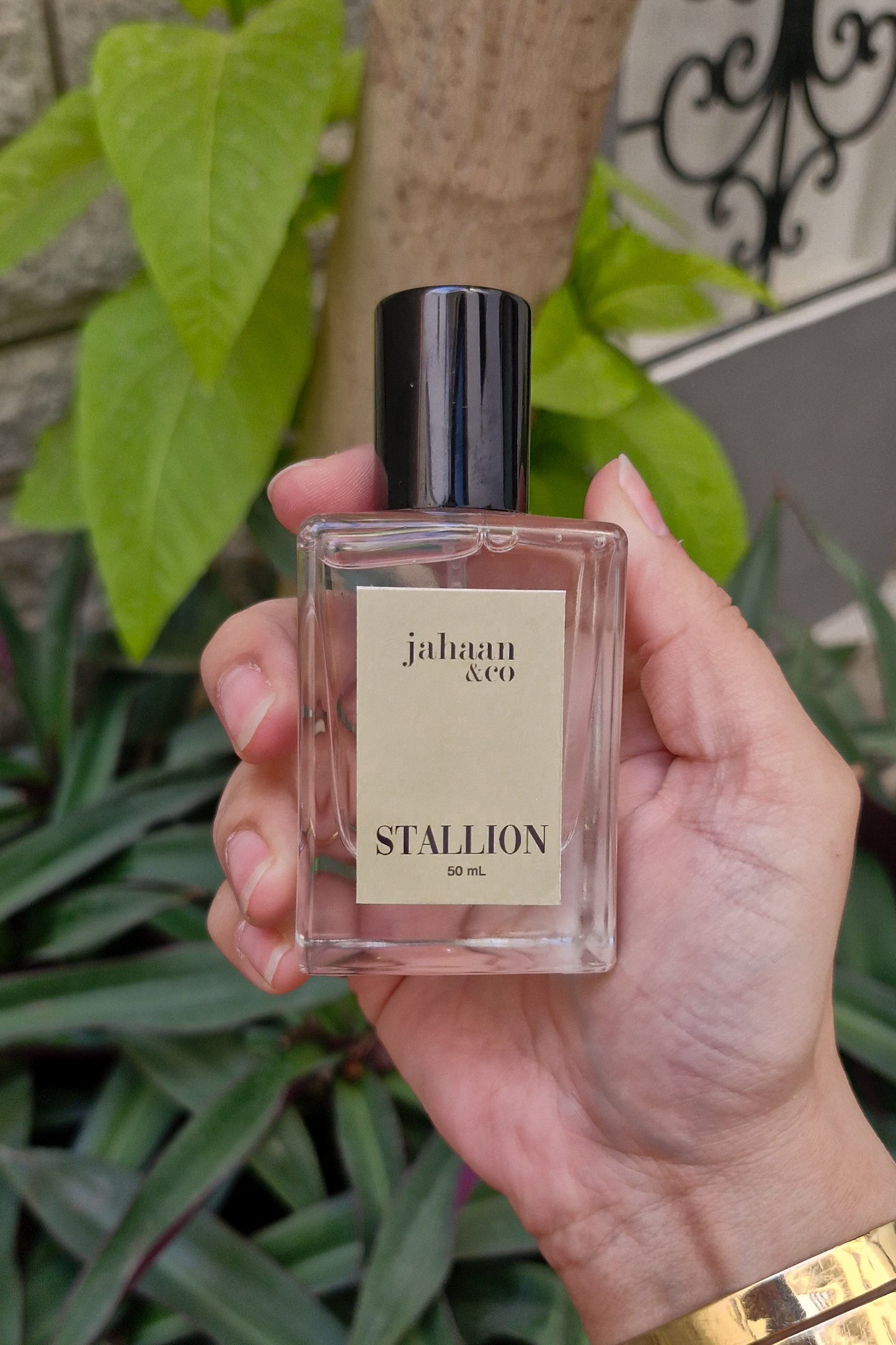 Stallion - Eau de Parfum