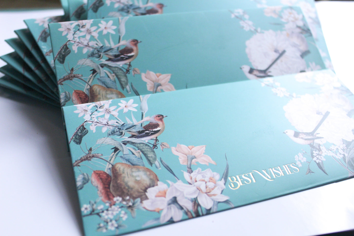Fauna - Best Wishes Envelope