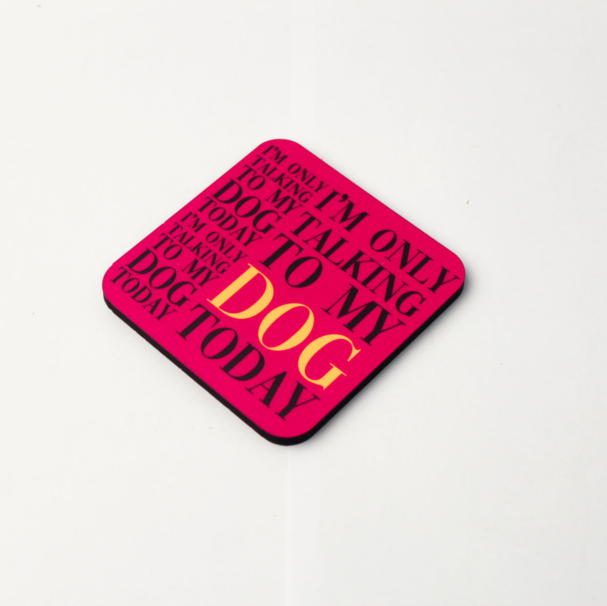 I'm only talking to my dog today Coaster