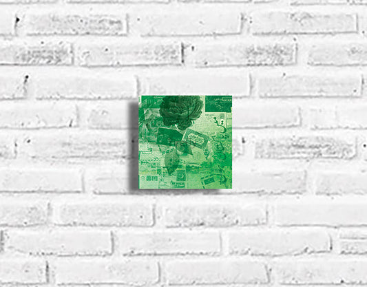 Main Pakistan Hoon Plaque