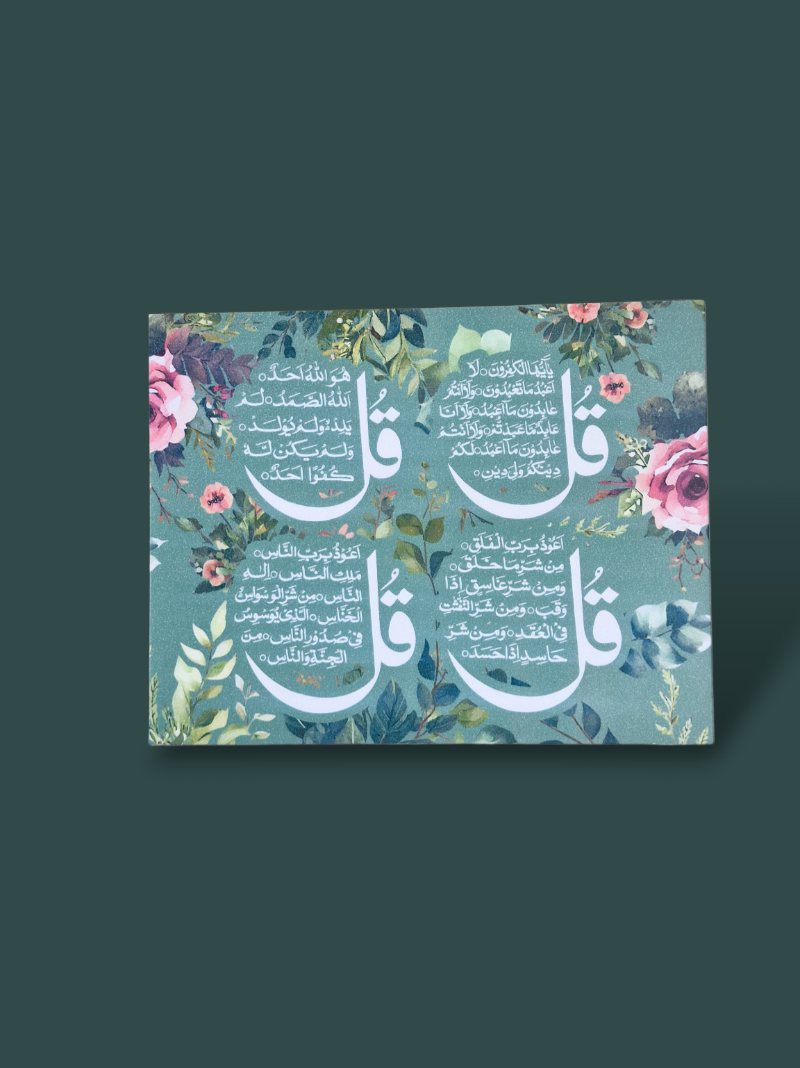 Bagh Plaque Series