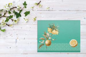 Set of CITRUS Table Mats